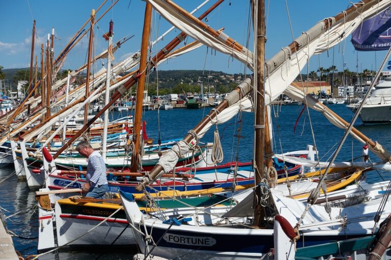 Guide complet pour visiter Bandol