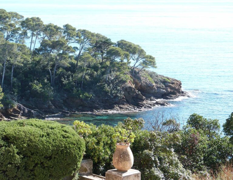 Le Domaine du Rayol : Un voyage botanique aux portes de la Méditerranée