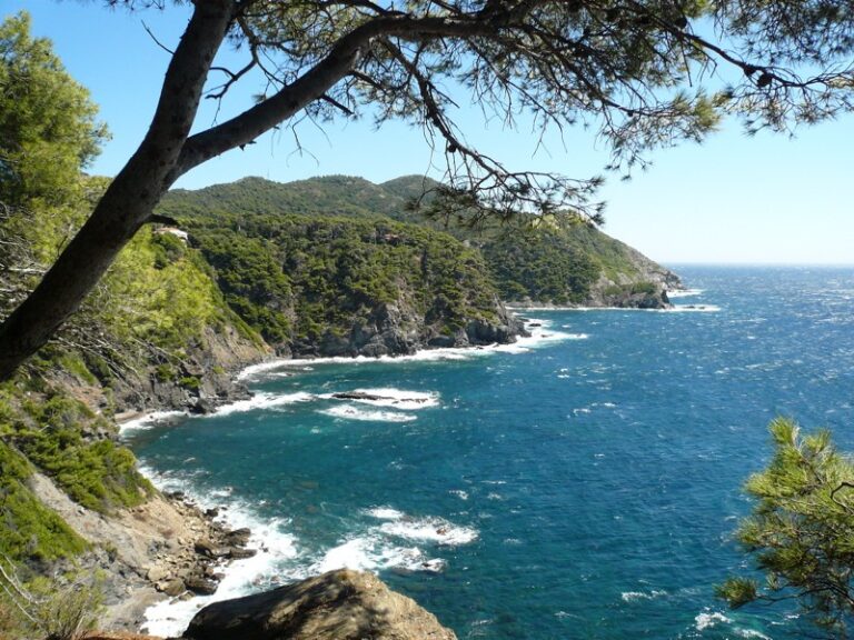 Randonnées sur le Cap Sicié : sentiers et points de vue