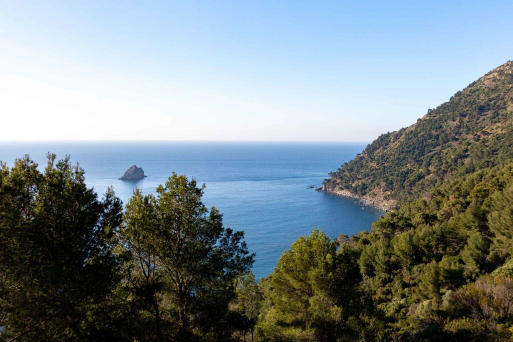 Randonnée au Cap Sicié : le plus beau balcon sur la Méditerranée à La Seyne-sur-Mer