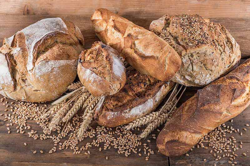 Le Pétrin Ribeïrou, boulangerie à La Seyne-sur-Mer