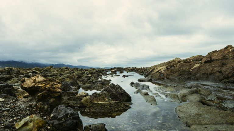 Rivage rocheux à marée basse en Méditerranée